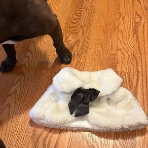 Winter lined cape for small dog